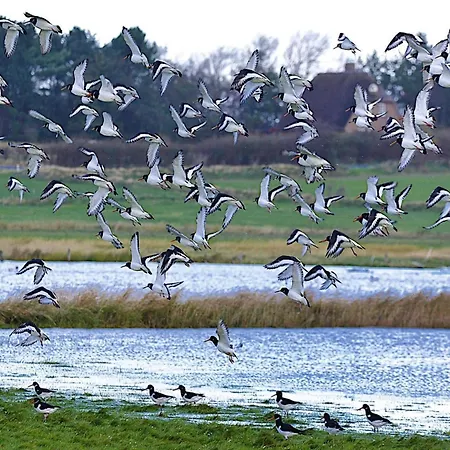 In Auf Foehr Σπίτι διακοπών *